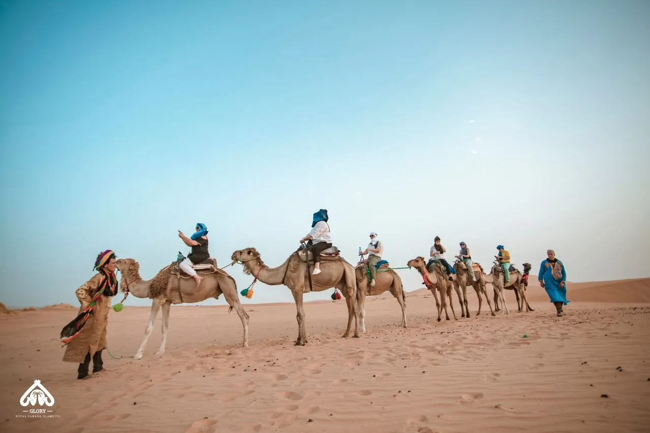 EXCURSIONS & TRANSPORT