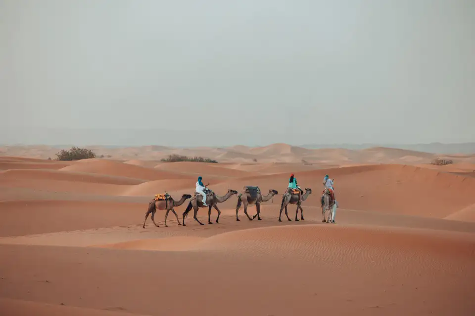 Excursiones y Transporte - Imagen 5
