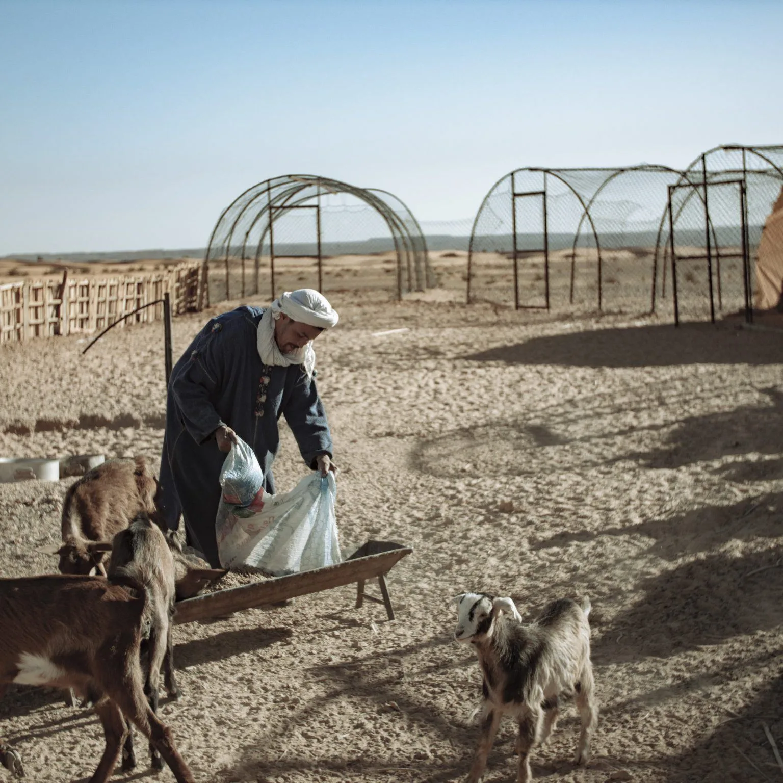 Agriculture locale & cuisine authentique