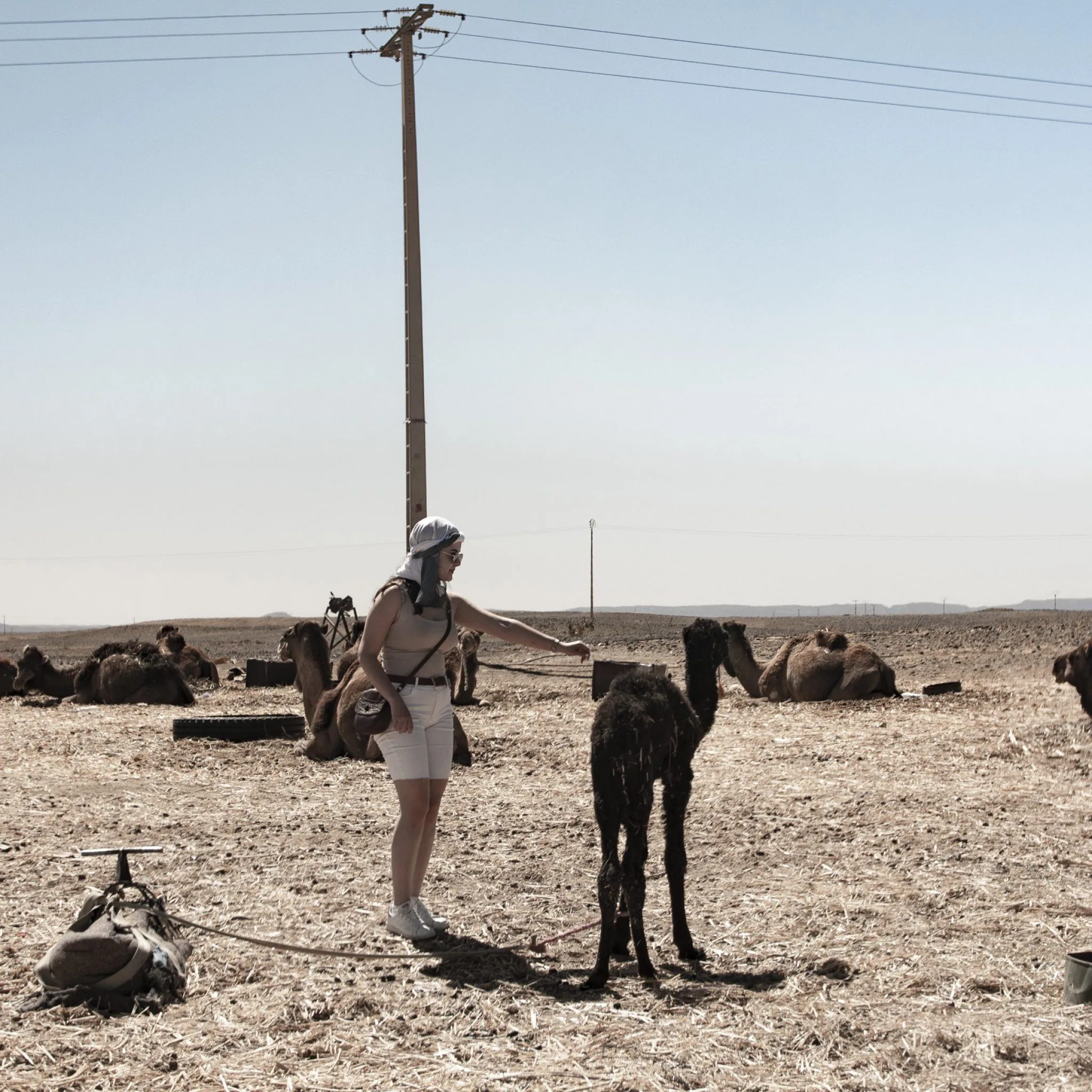 Partenariat avec les familles nomades